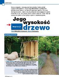 Jego wysokość drzewo -Inspiracje